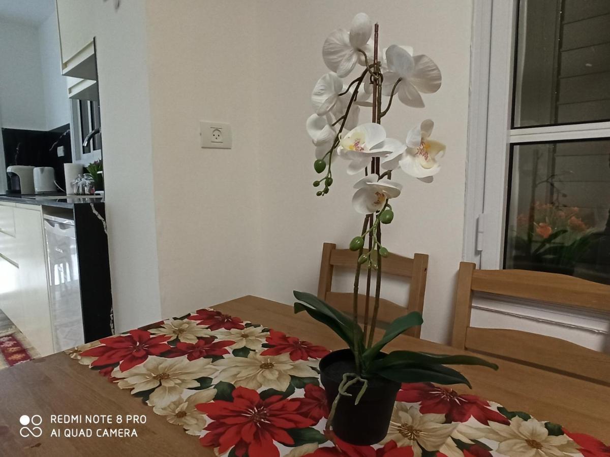 Boutique 22 Guest Rooms Haifa Eksteriør billede
